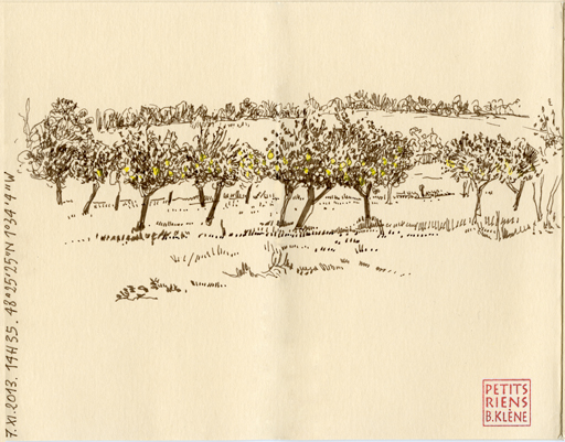 Les Petits Riens © Bénédicte Klène. 2013