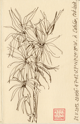 Les Petits Riens © Bénédicte Klène. 2015