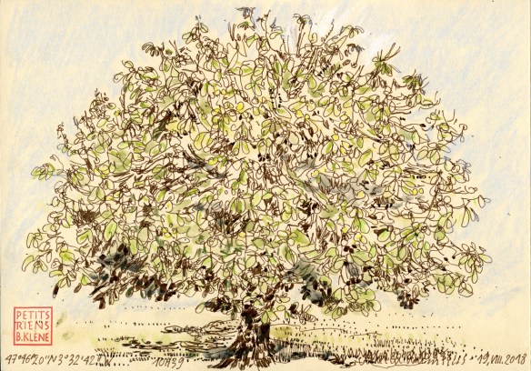 Les Petits Riens © ADAGP / Bénédicte Klène. 2018